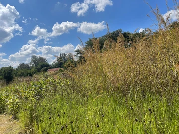 3 Bedroom Flat & Apartment