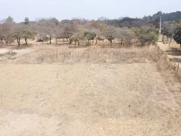 Farm & Agricultural Land