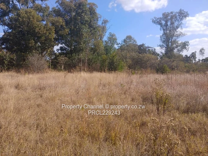 2500m² Stand: Build Your Dream Home