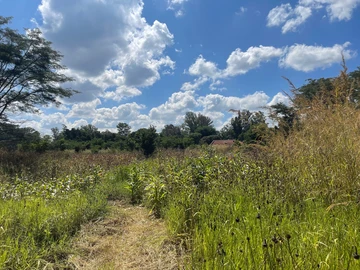 3 Bedroom Flat & Apartment