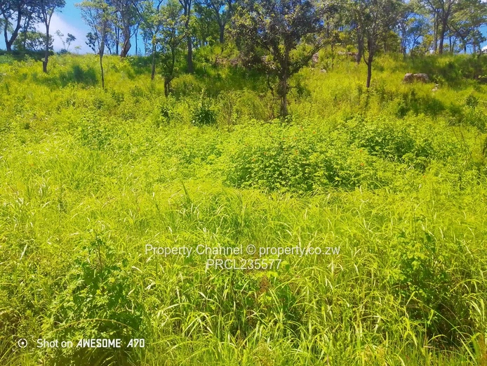 Sloping 4000m² Carrick Creagh — Subdividable, Tarred Road