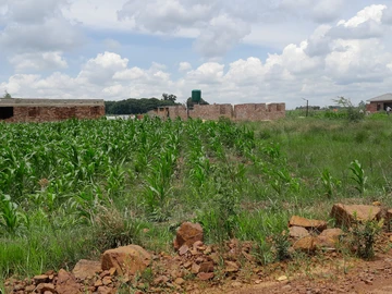 Stands & Residential Land