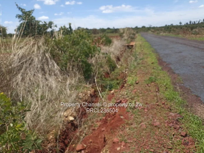 Pomona Serviced Residential Stands in Wild Geese, Buckland Gated Community