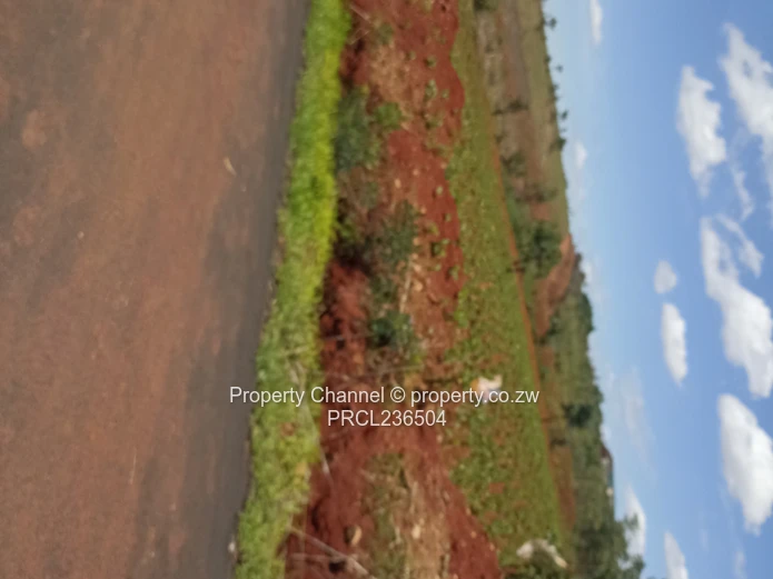 Pomona Serviced Residential & Commercial Stands in Wild Geese, Buckland Gated Community