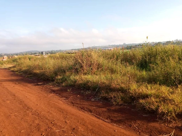 990m² Land For Sale in Highly Demanded Area of Hatcliffe, Harare