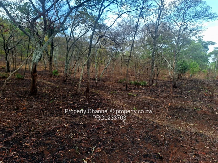 Own a piece of Paradise!