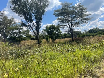 3 Bedroom Flat & Apartment