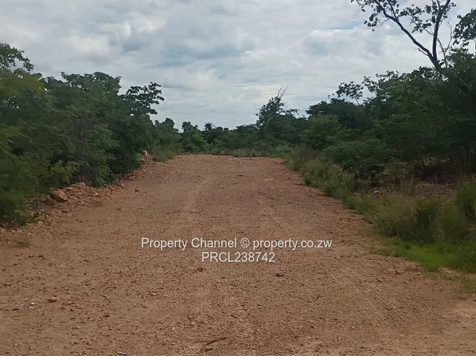 1172m² Serviced Stand in Kadoma – Road & Drainage Ready