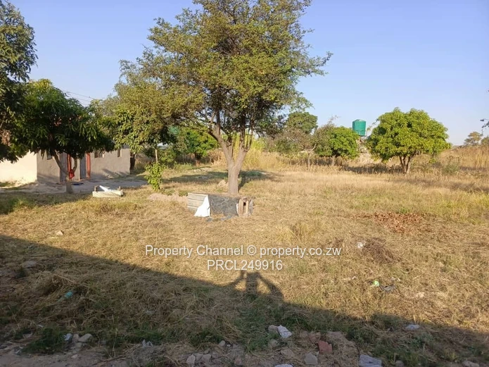 Stand for Sale – Prime Location Near Ocean Primary School