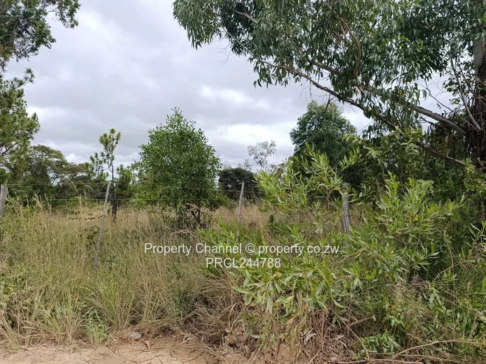 Prime Flat Agro Plot – Ideal for Farming, dwelling & Investment