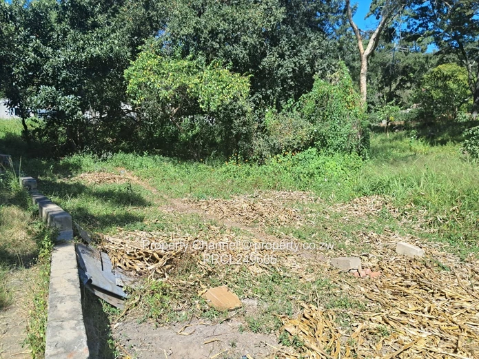 Land with cottage