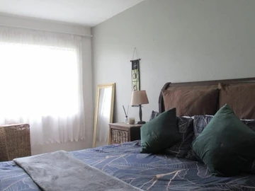 Flat & Apartment