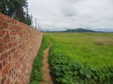 Stands & Residential Land