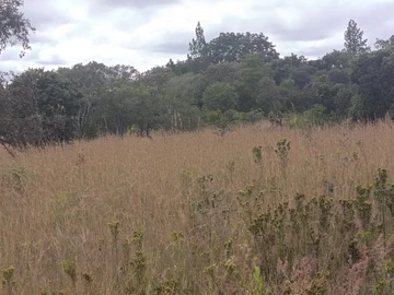 Farm & Agricultural Land