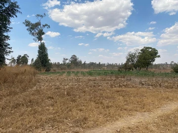 Commercial & Industrial Land