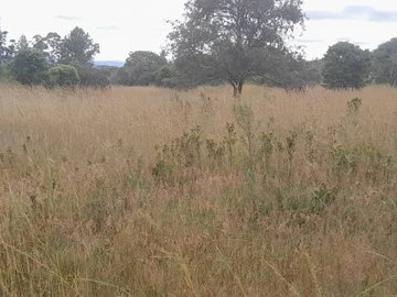 Farm & Agricultural Land