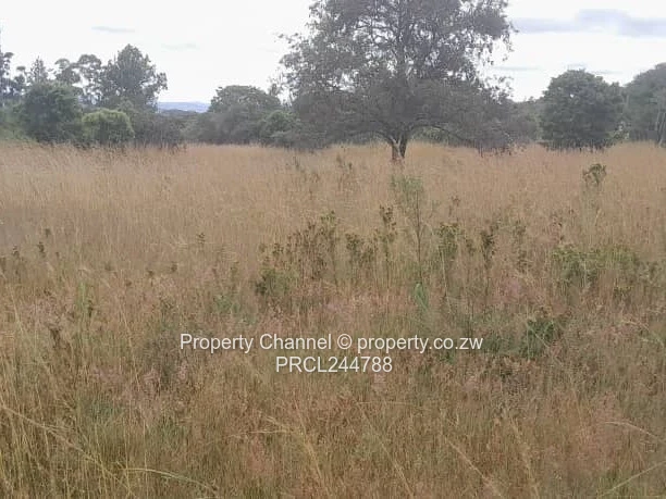 Prime Flat Agro Plot – Ideal for Farming, dwelling & Investment