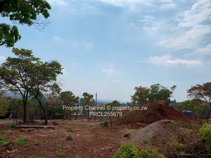 2,100m² Plot on Paved Road with Palm Trees, Hogerty Hill