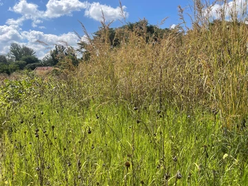 3 Bedroom Flat & Apartment