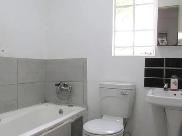 Flat & Apartment