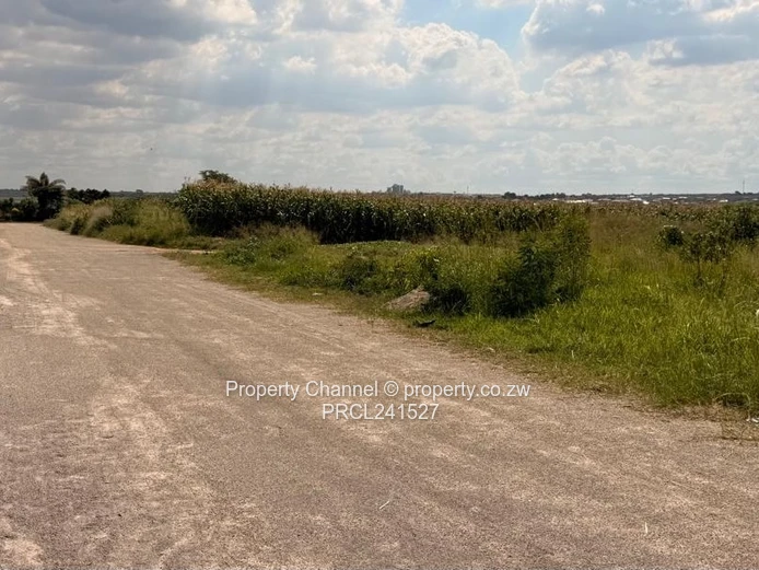 826m² Plot on Quiet Paved Road, Zimre Park East