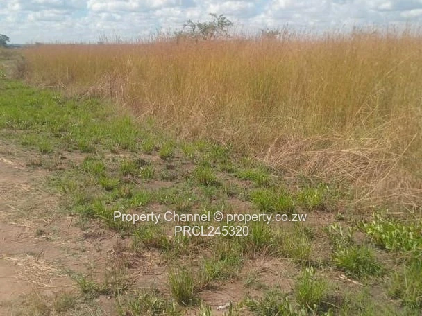 Stand for Sale in Norton Mwashuma Park