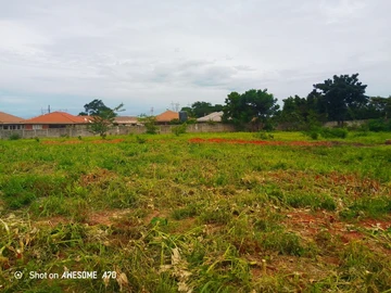 Stands & Residential Land