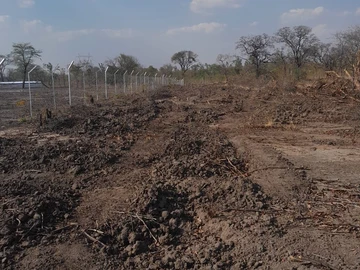 Farm & Agricultural Land