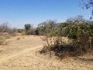 Farm & Agricultural Land