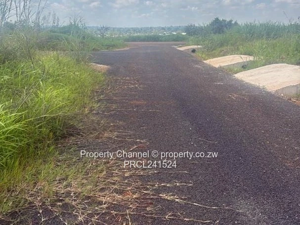 A Choice of three stands