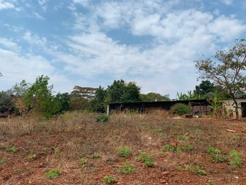 Land