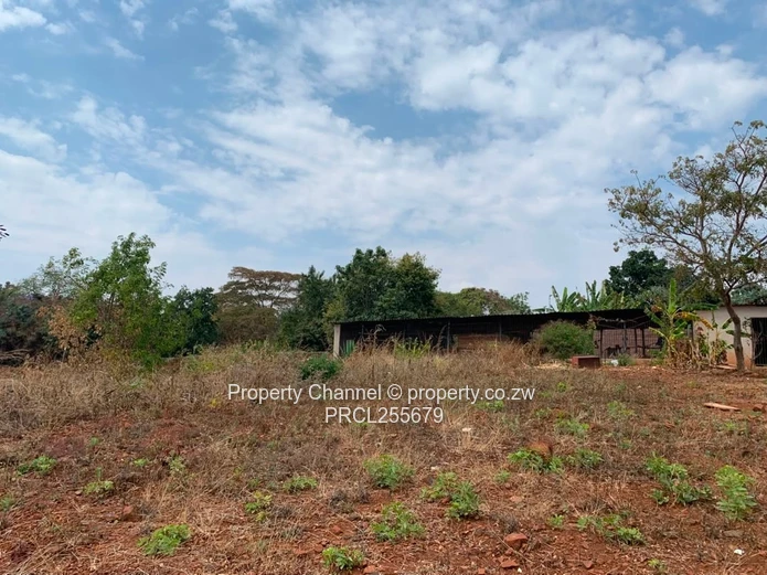 2,100m² Plot on Paved Road with Palm Trees, Hogerty Hill