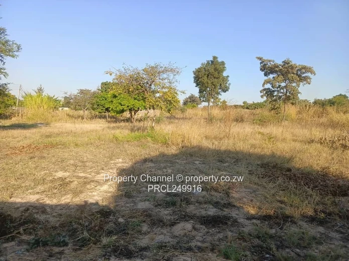 Stand for Sale – Prime Location Near Ocean Primary School