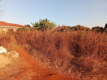 Stands & Residential Land