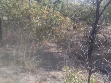 Farm & Agricultural Land