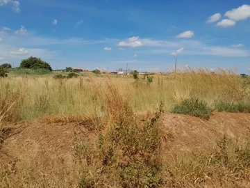 Stands & Residential Land