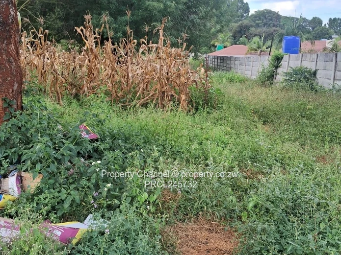 Stand For Sale In Borrowdale Brooke Ridge