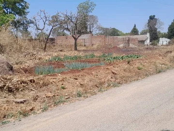 Stands & Residential Land