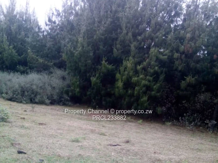 Nyanga Plots For Sale