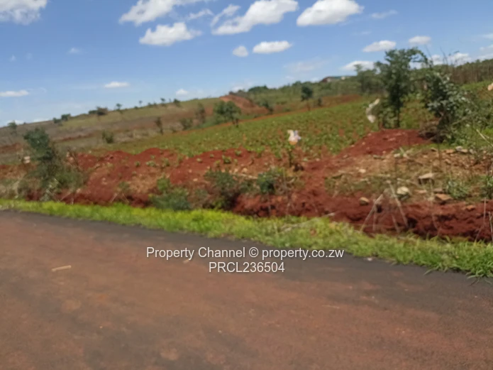 Pomona Serviced Residential Stands in Wild Geese, Buckland Gated Community