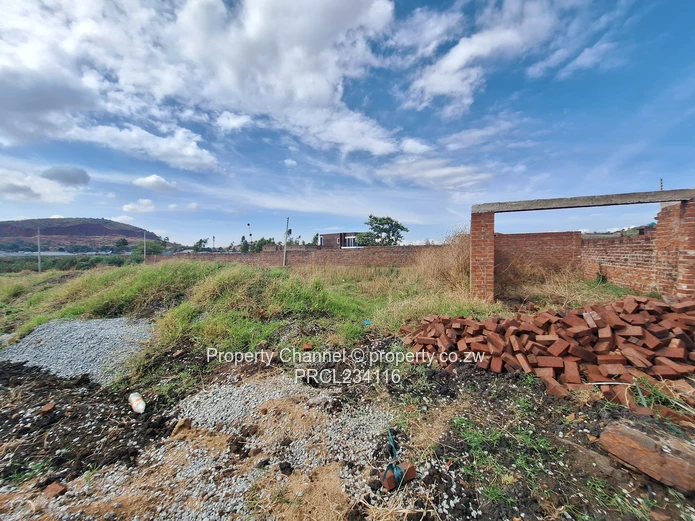 Buy, build and settle!