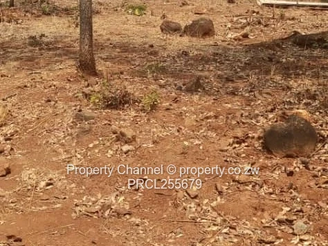 2,100m² Plot on Paved Road with Palm Trees, Hogerty Hill