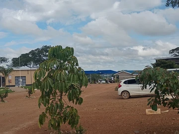 Stands & Residential Land