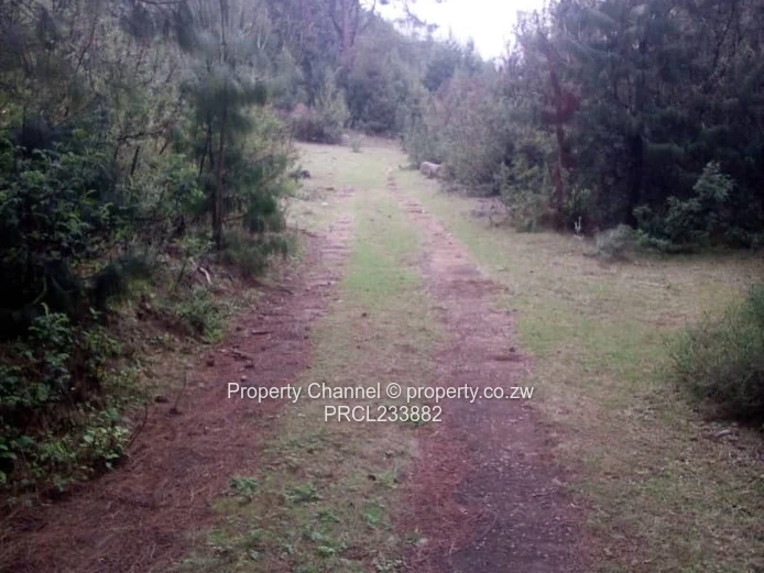 Nyanga Plots For Sale