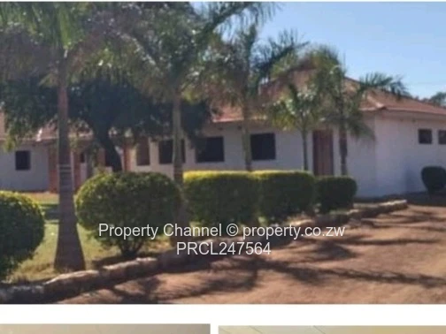 Exclusive Sabona bona Investment Opportunity 