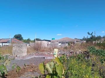 Land