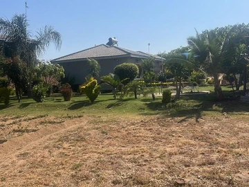 Stands & Residential Land