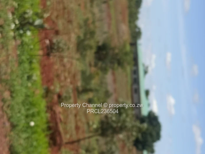 Pomona Serviced Residential & Commercial Stands in Wild Geese, Buckland Gated Community