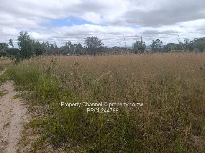 Prime Flat Agro Plot – Ideal for Farming, dwelling & Investment