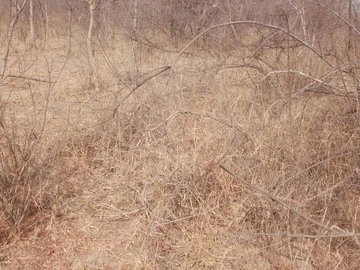 Commercial & Industrial Land